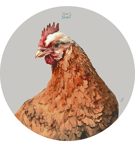 Set 6 individuales Gallo Redondo 37 x 37 cm