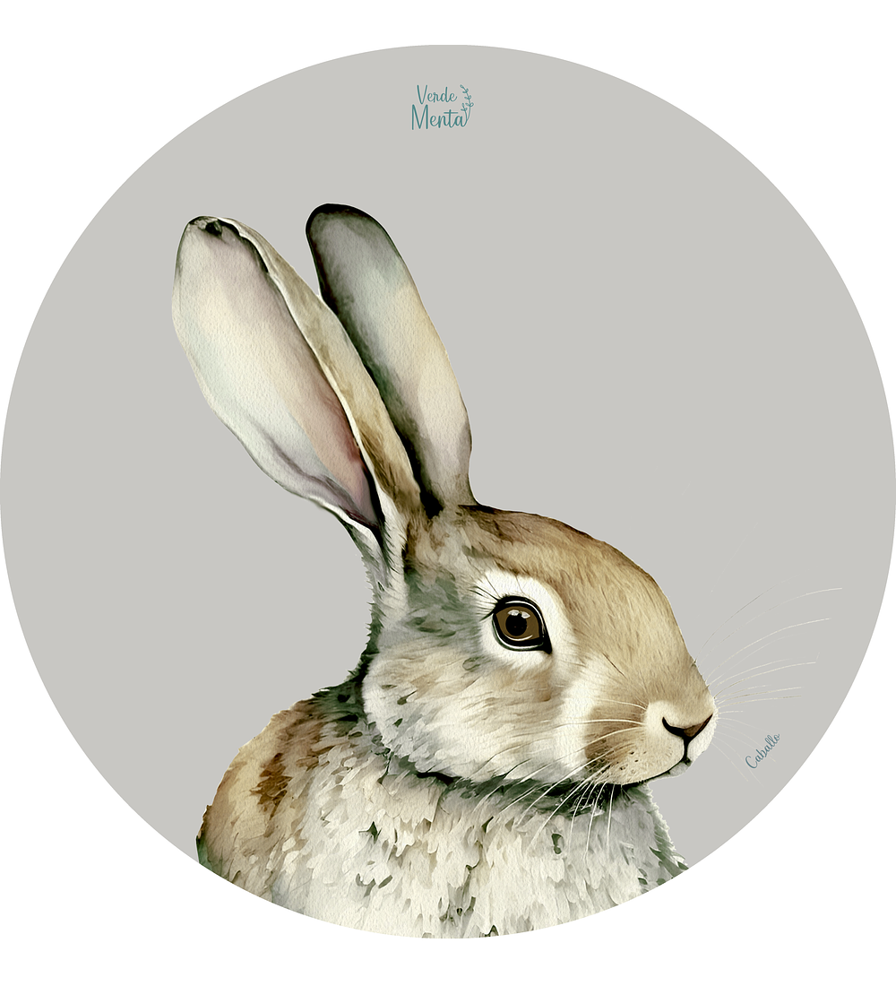 Set 6 individuales Liebre Redondo 37 x 37 cm