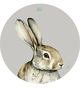 Set 6 individuales Liebre Redondo 37 x 37 cm