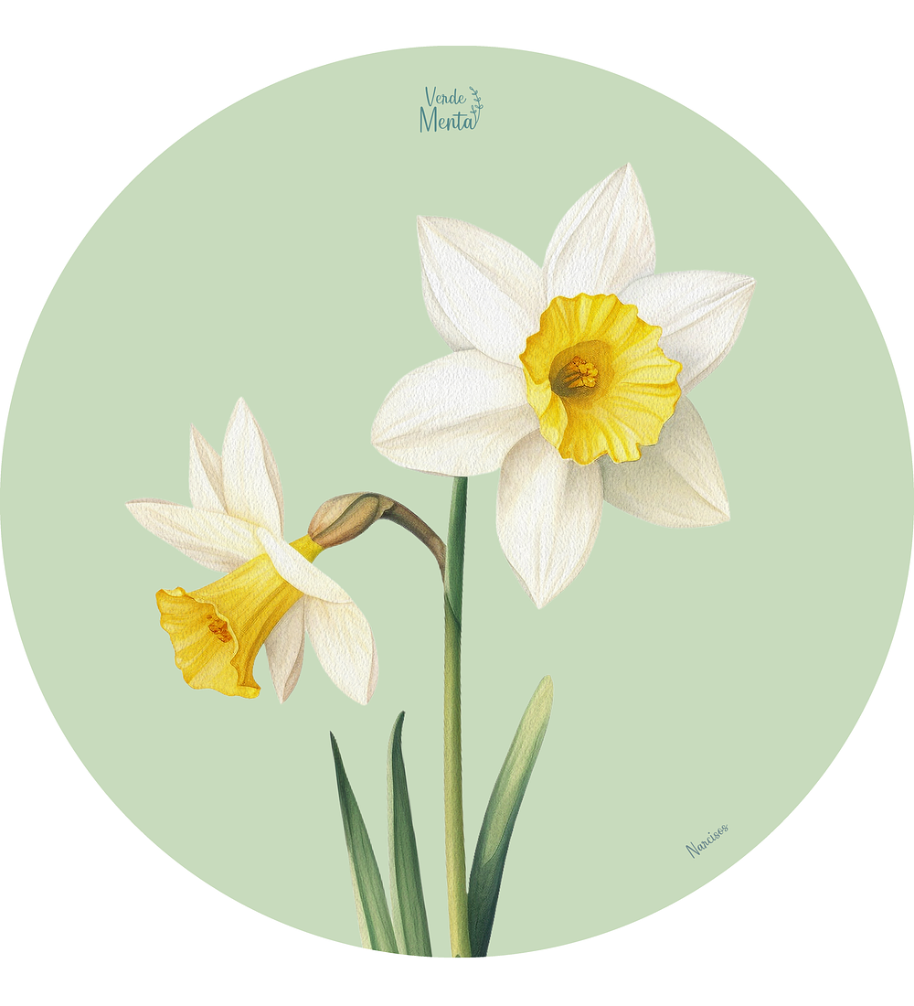 Set 6 individuales Narcisos Redondo 37 x 37 cm