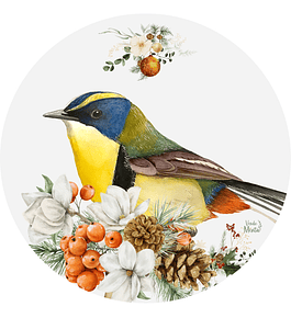 Set 6 individuales Navidad Siete Colores Blanco Redondo 37 x 37 cm