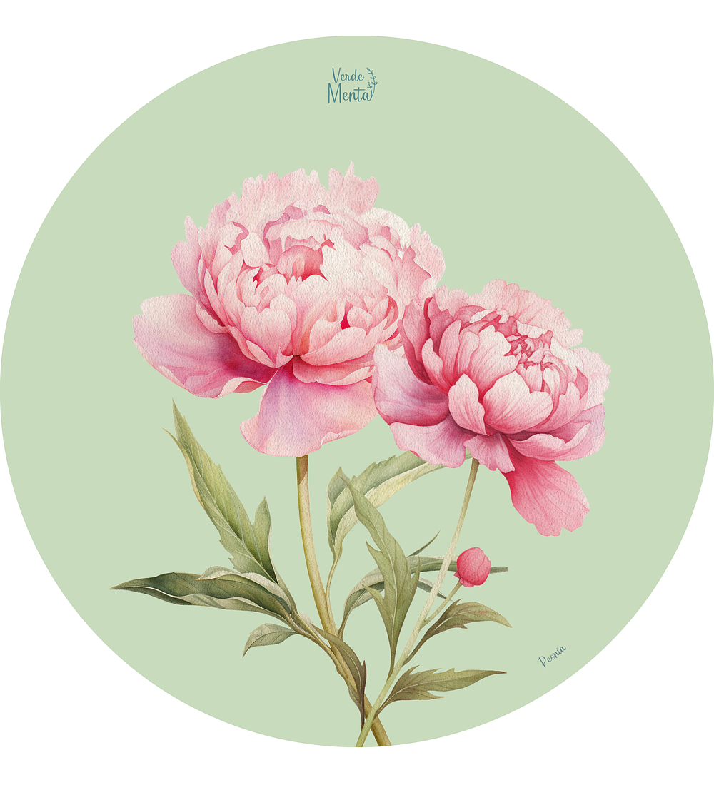 Set 6 individuales Peonía Redondo 37 x 37 cm