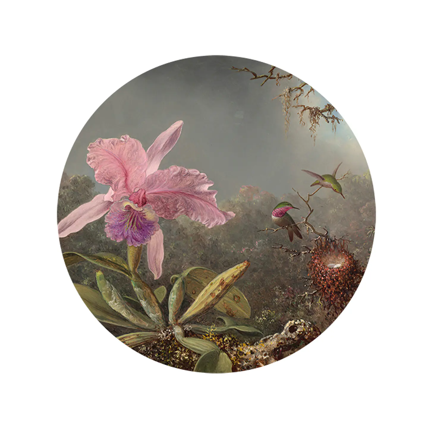 Set 6 Individuales + 6 Posavasos — Heade, Orquídea Cattleya 1