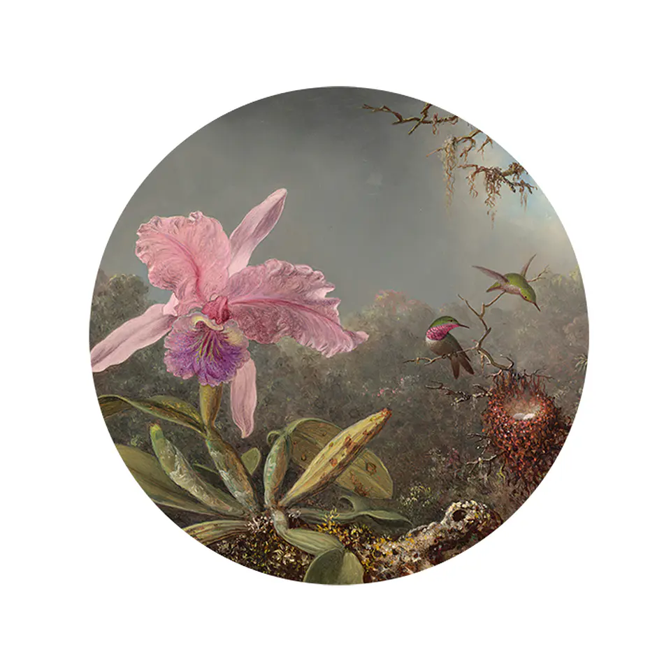 Set 6 Individuales + 6 Posavasos — Heade, Orquídea Cattleya 1