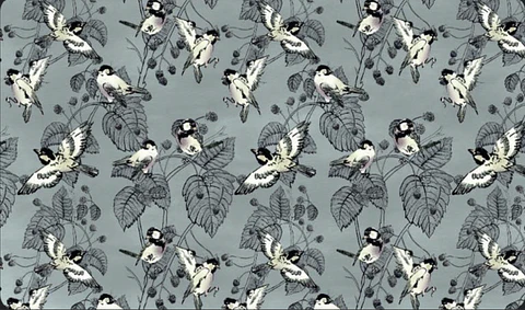 Deskmat Pajaritos 68x40cm