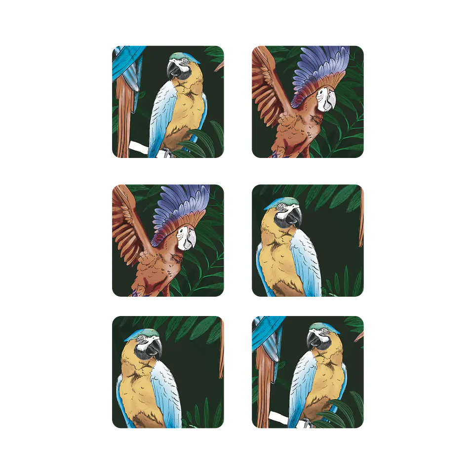 Pack 6 Posavasos Papagayo 1