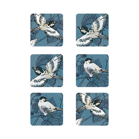 Pack 6 Posavasos Pajaros