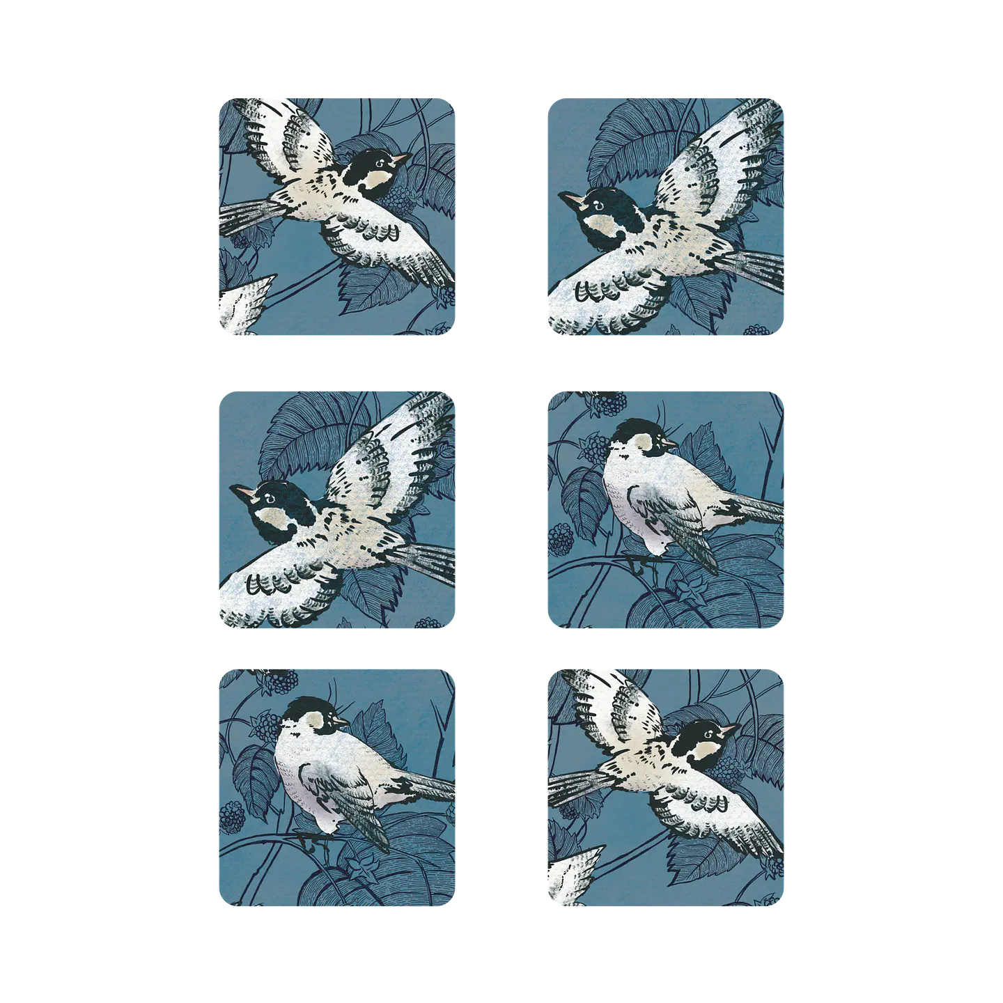 Pack 6 Posavasos Pajaros 1