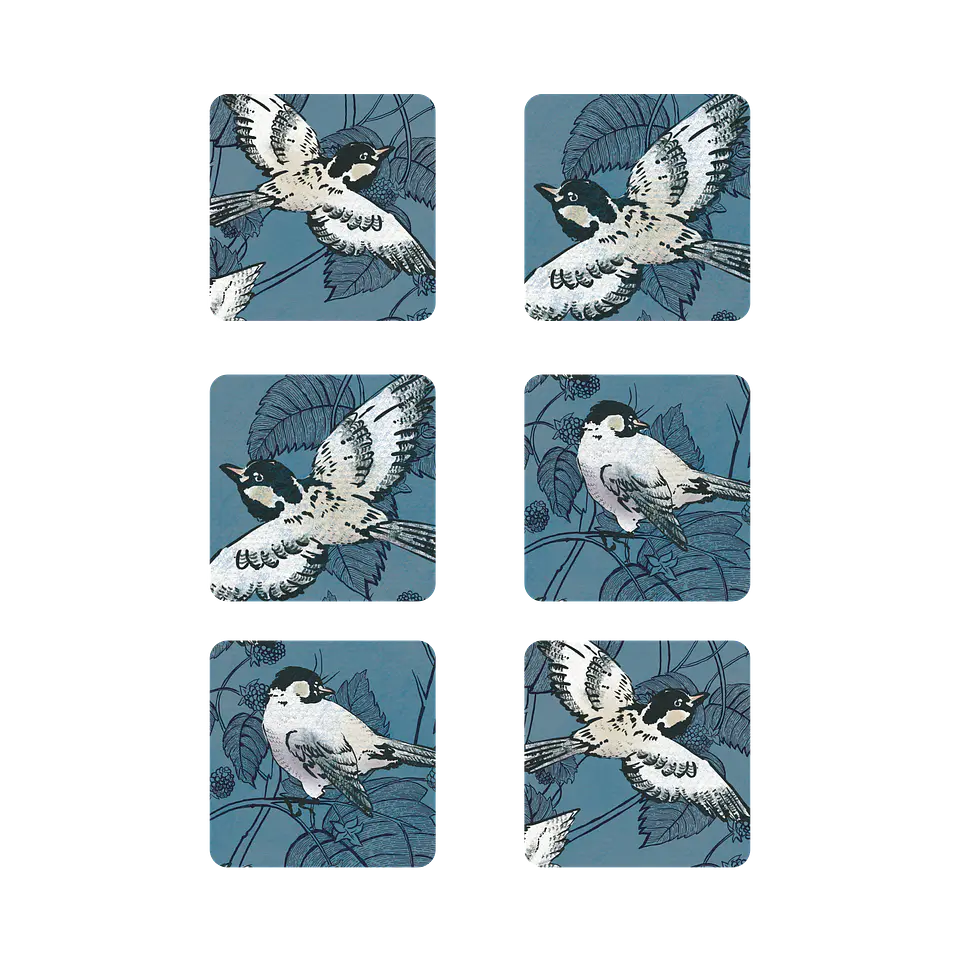Pack 6 Posavasos Pajaros 1