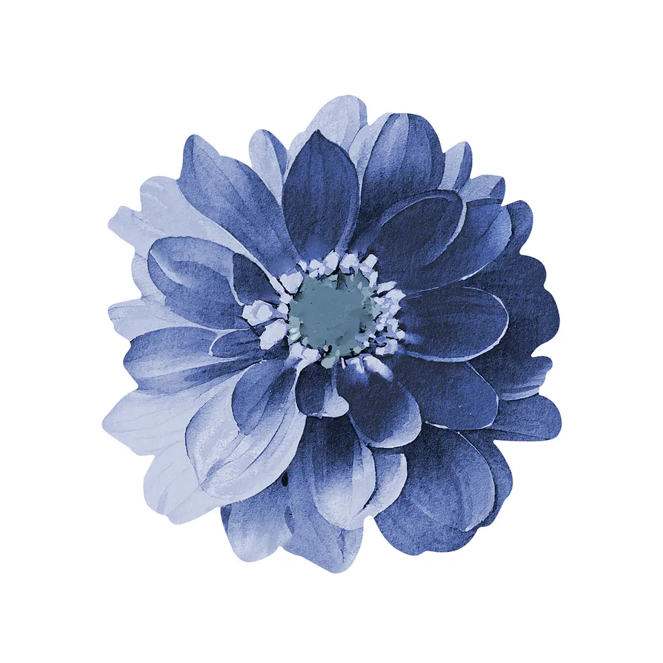 Set 6 Nov Blue Dahlia Flower 1