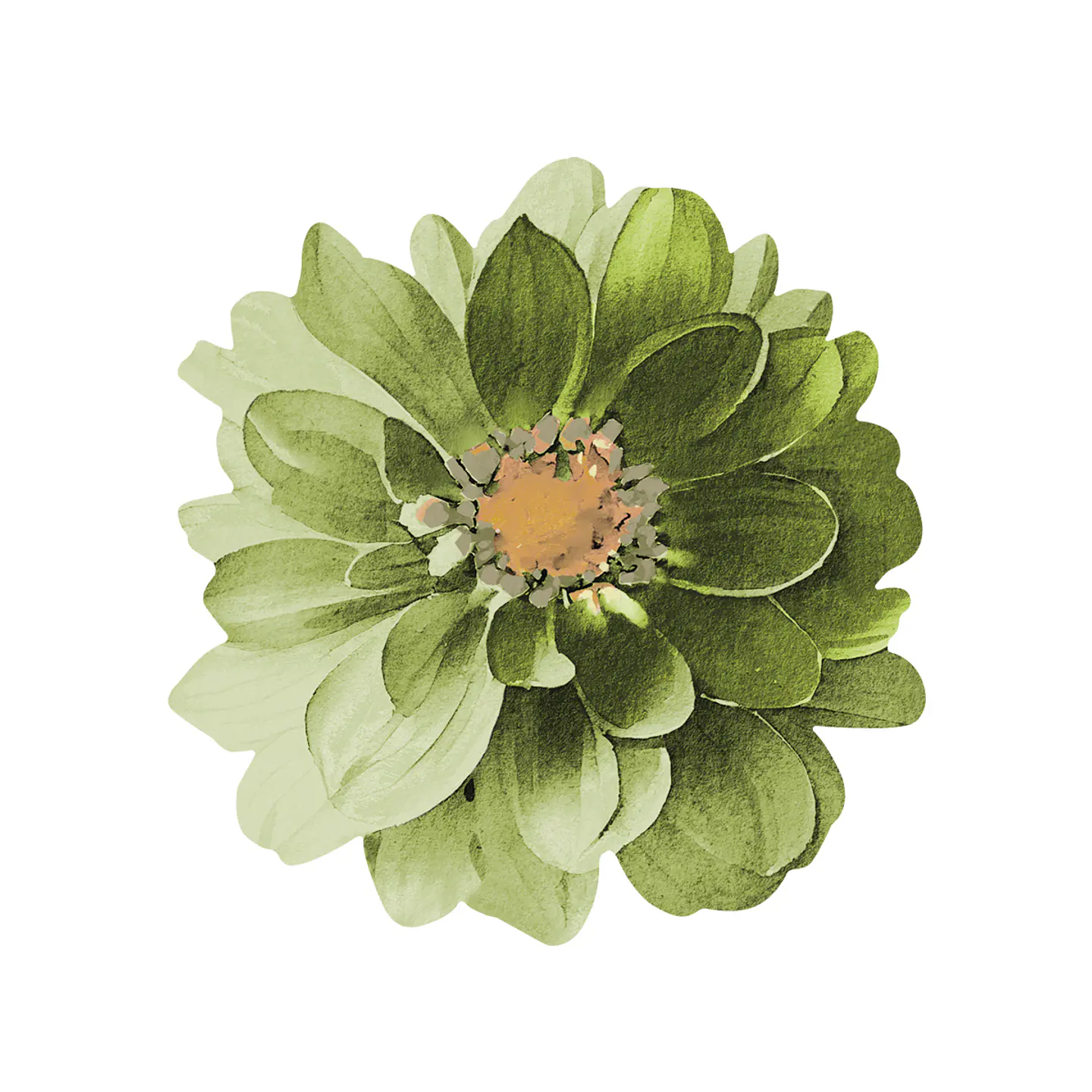 Set 6 Nov Green Dahlia Flower 1