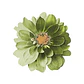 Set 6 Nov Green Dahlia Flower - Miniatura 1