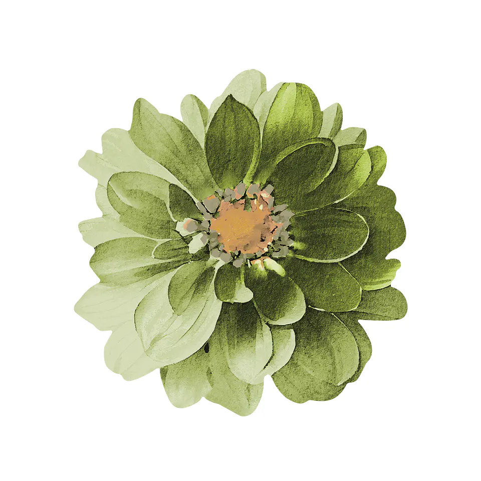Set 6 Nov Green Dahlia Flower 1