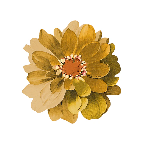 Set 6 Nov Yellow Dahlia Flower