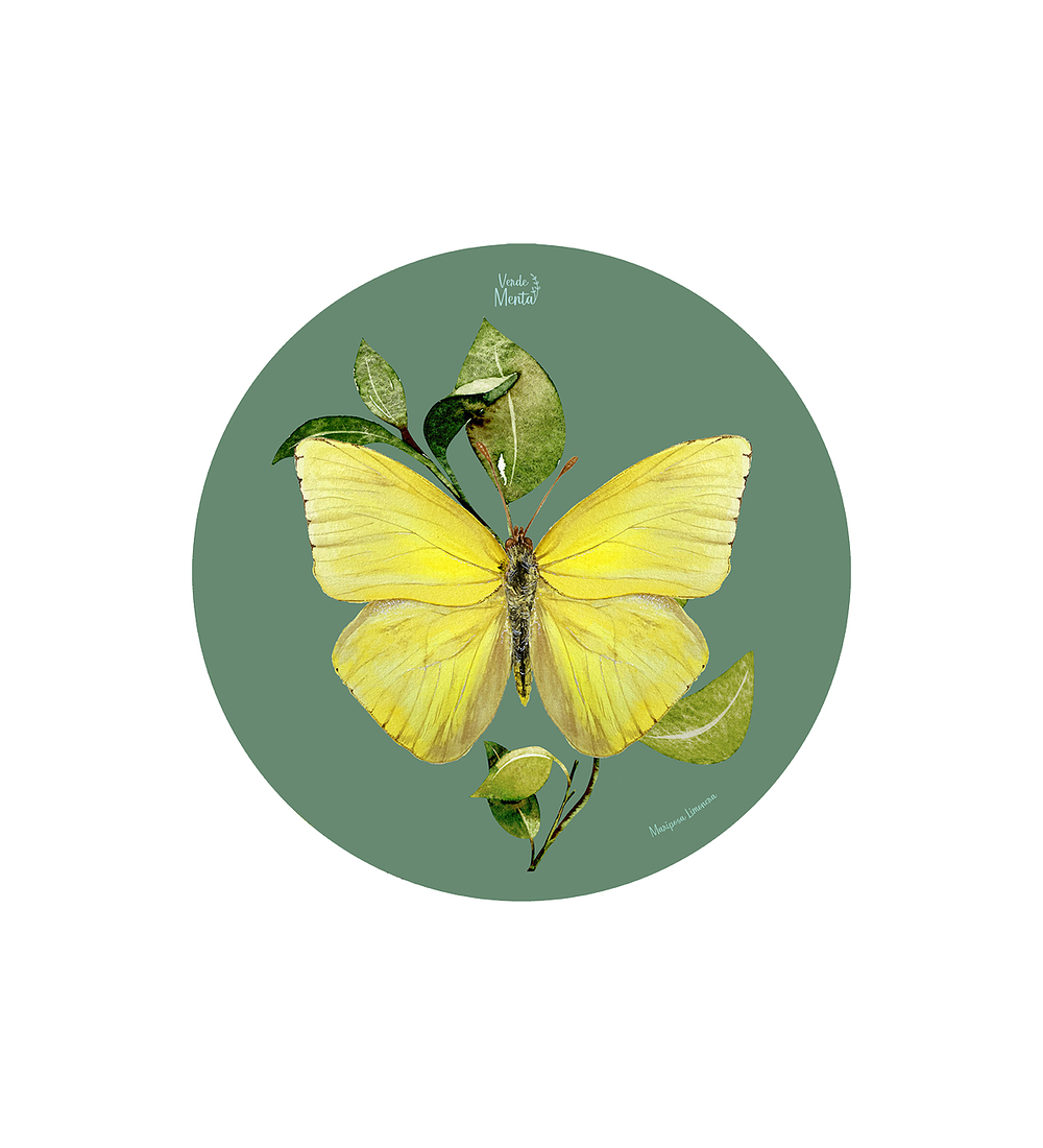 Set 6 Individual Redondo Mariposa Limonera