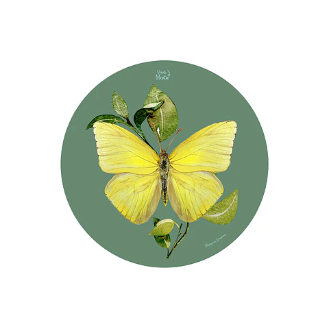 Set 6 Individual Redondo Mariposa Limonera