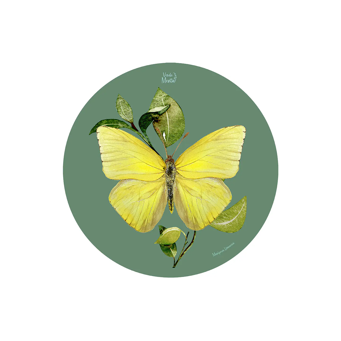 Set 6 Individual Redondo Mariposa Limonera 1