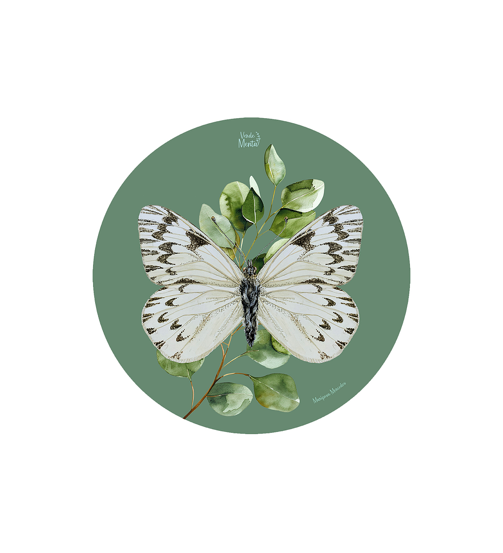 Set 6 Individual Redondo Mariposa Mercedes