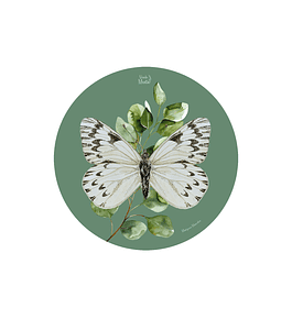 Set 6 Individual Redondo Mariposa Mercedes