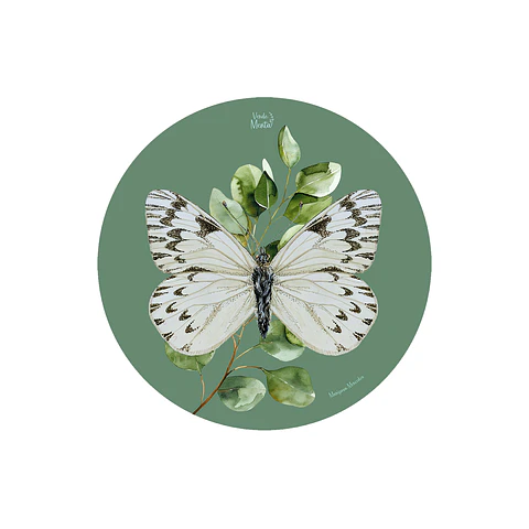 Set 6 Individual Redondo Mariposa Mercedes