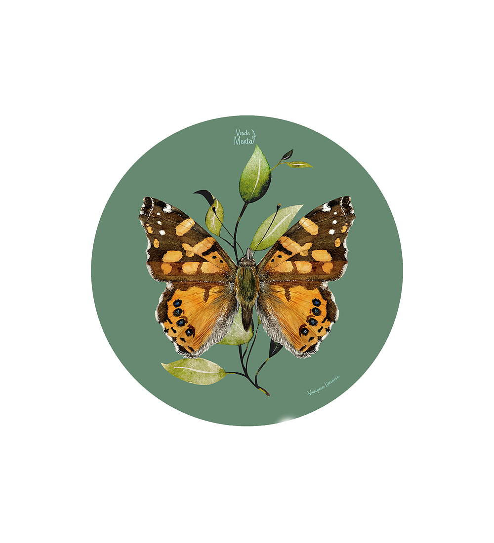 Set 6 Individual Redondo Mariposa colorada