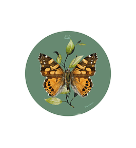 Set 6 Individual Redondo Mariposa colorada