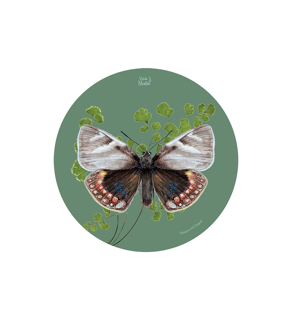 Set 6 Individual Redondo Mariposa del Chagual