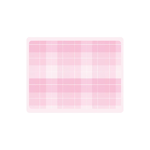 Set de 4 individuales 42x32 San Valentin Gingham Rosa