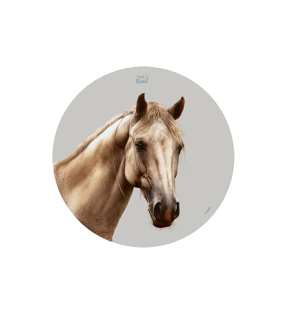 Set 6 Individual Caballo 37 cm