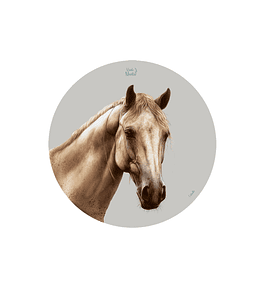 Set 6 Individual Caballo 37 cm