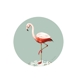 Set 6 Individual Flamenco 37 Cm