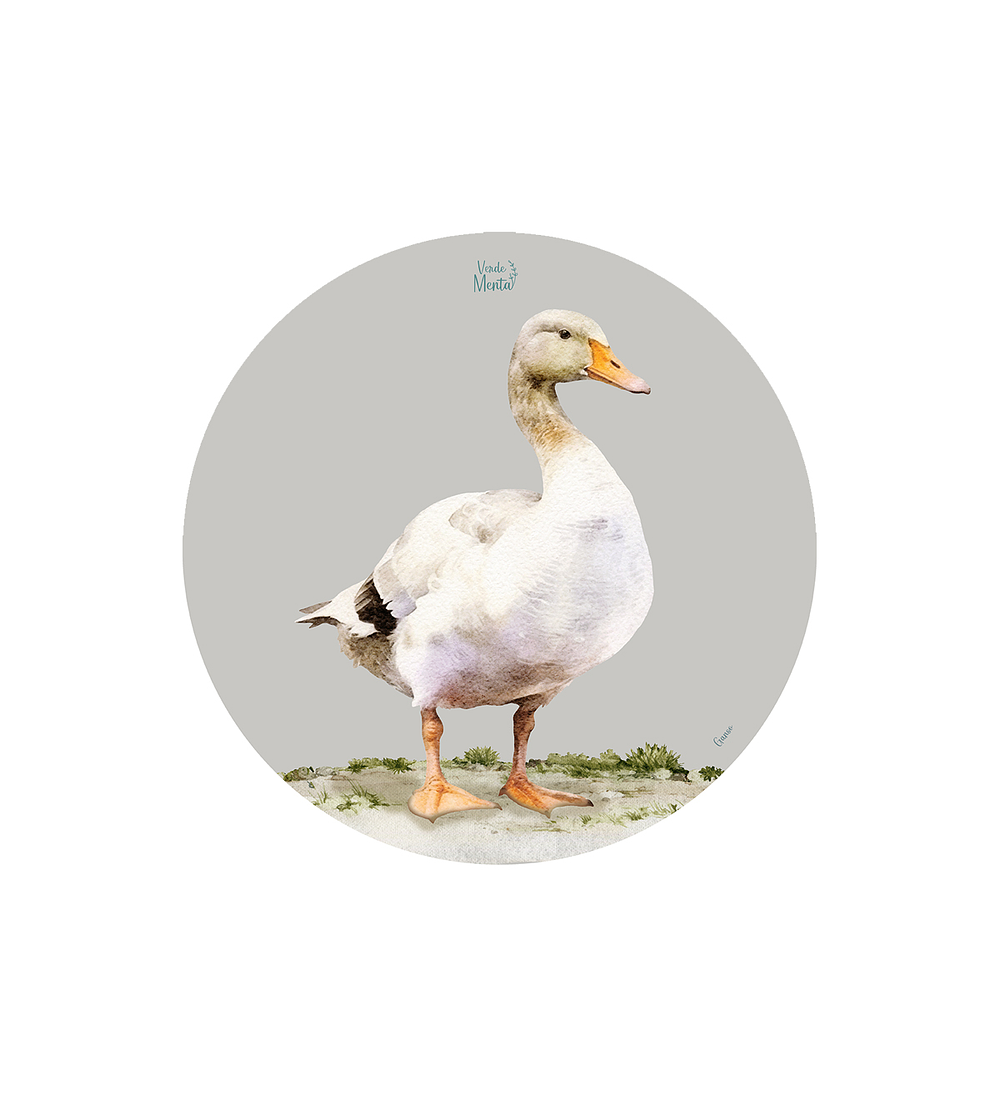 Set 6 Individual Ganso 37 Cm