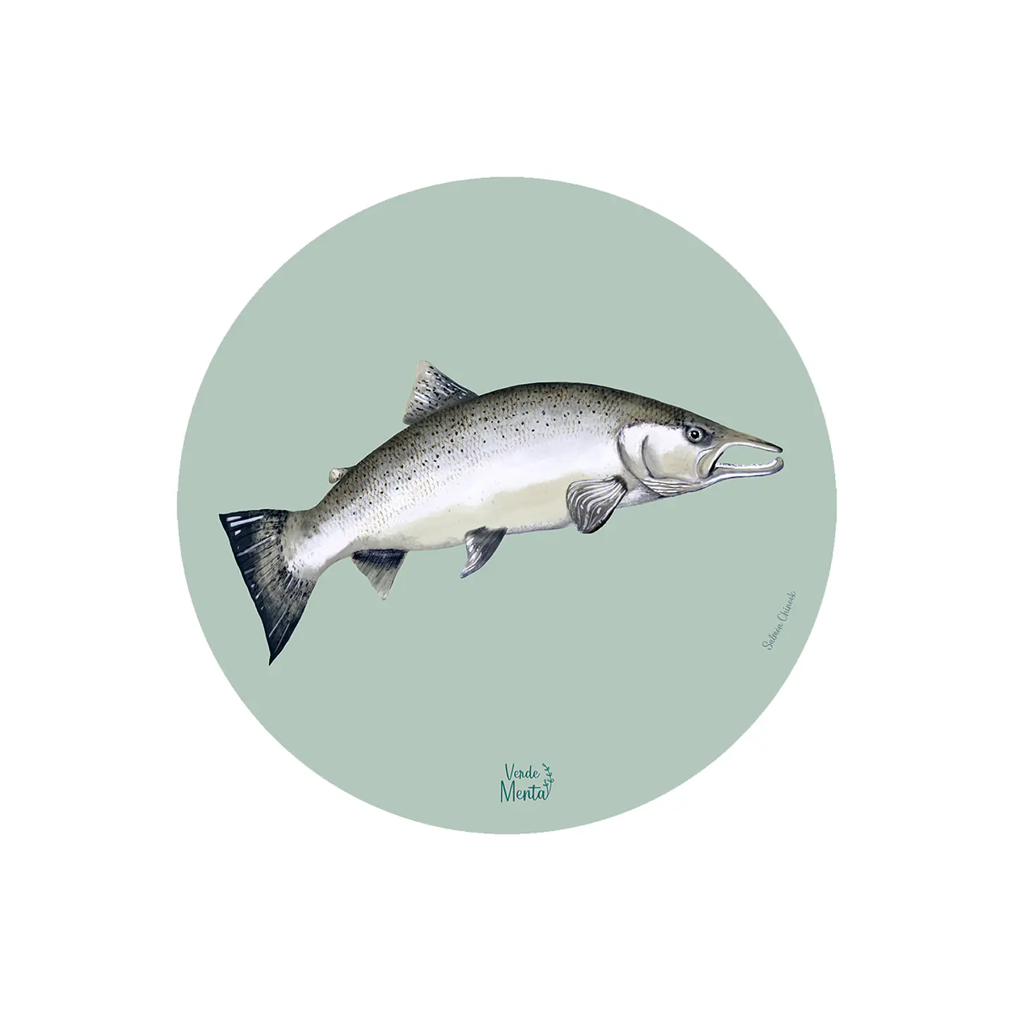 Set 6 Individual Salmón Chinook 37 Cm 1