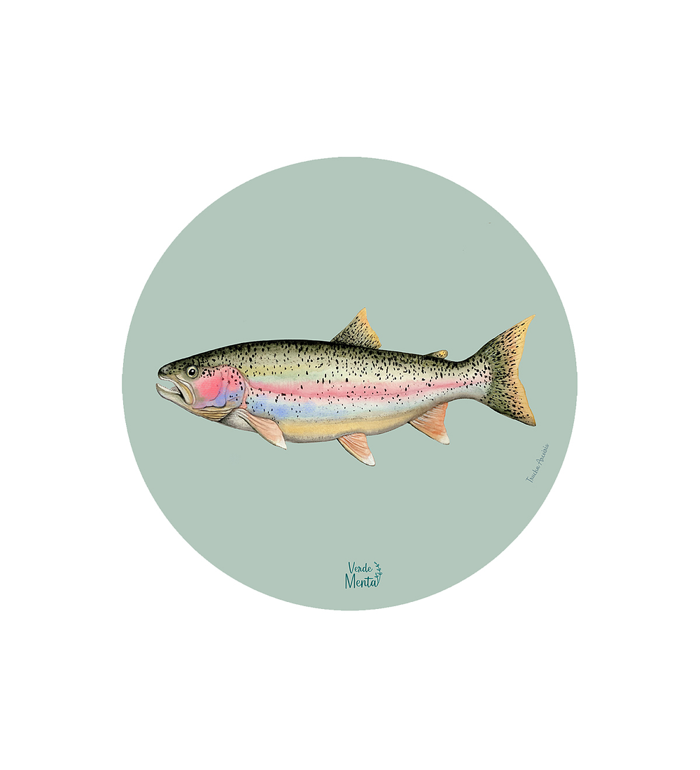 Set 6 Individual Trucha Arcoiris 37 Cm