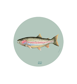 Set 6 Individual Trucha Arcoiris 37 Cm