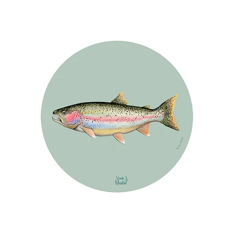 Set 6 Individual Trucha Arcoiris 37 Cm