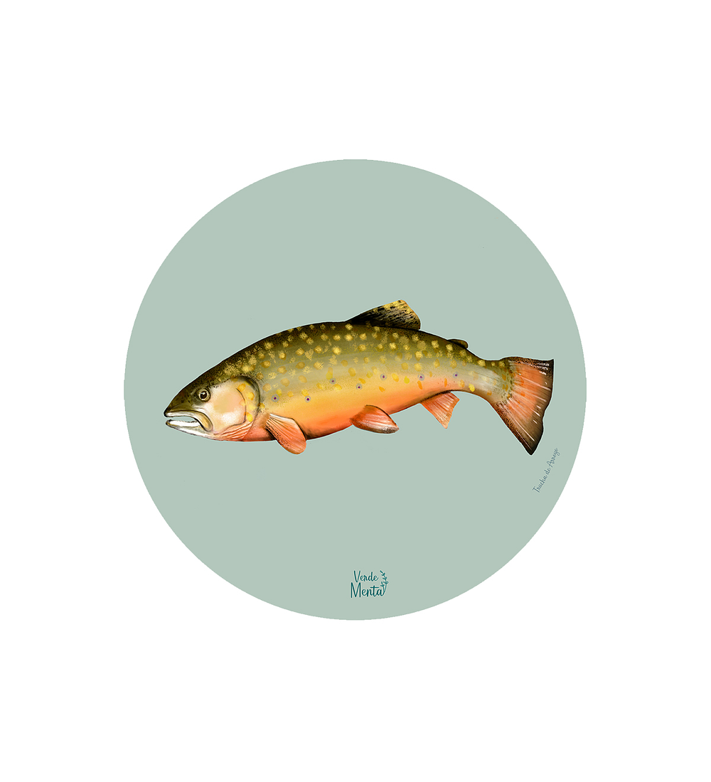 Set 6 Individual Trucha De Arroyo 37 Cm