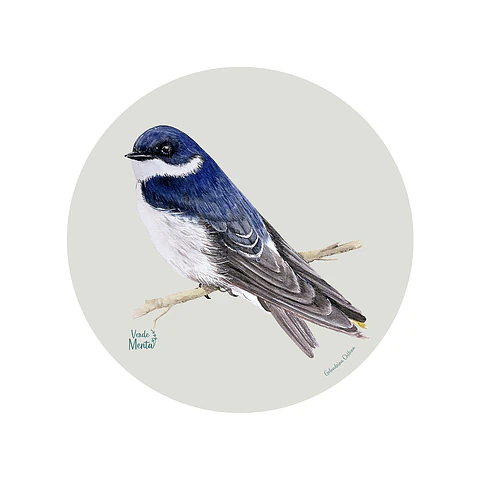 Set 6 Ind Golondrina Chilena 37cm
