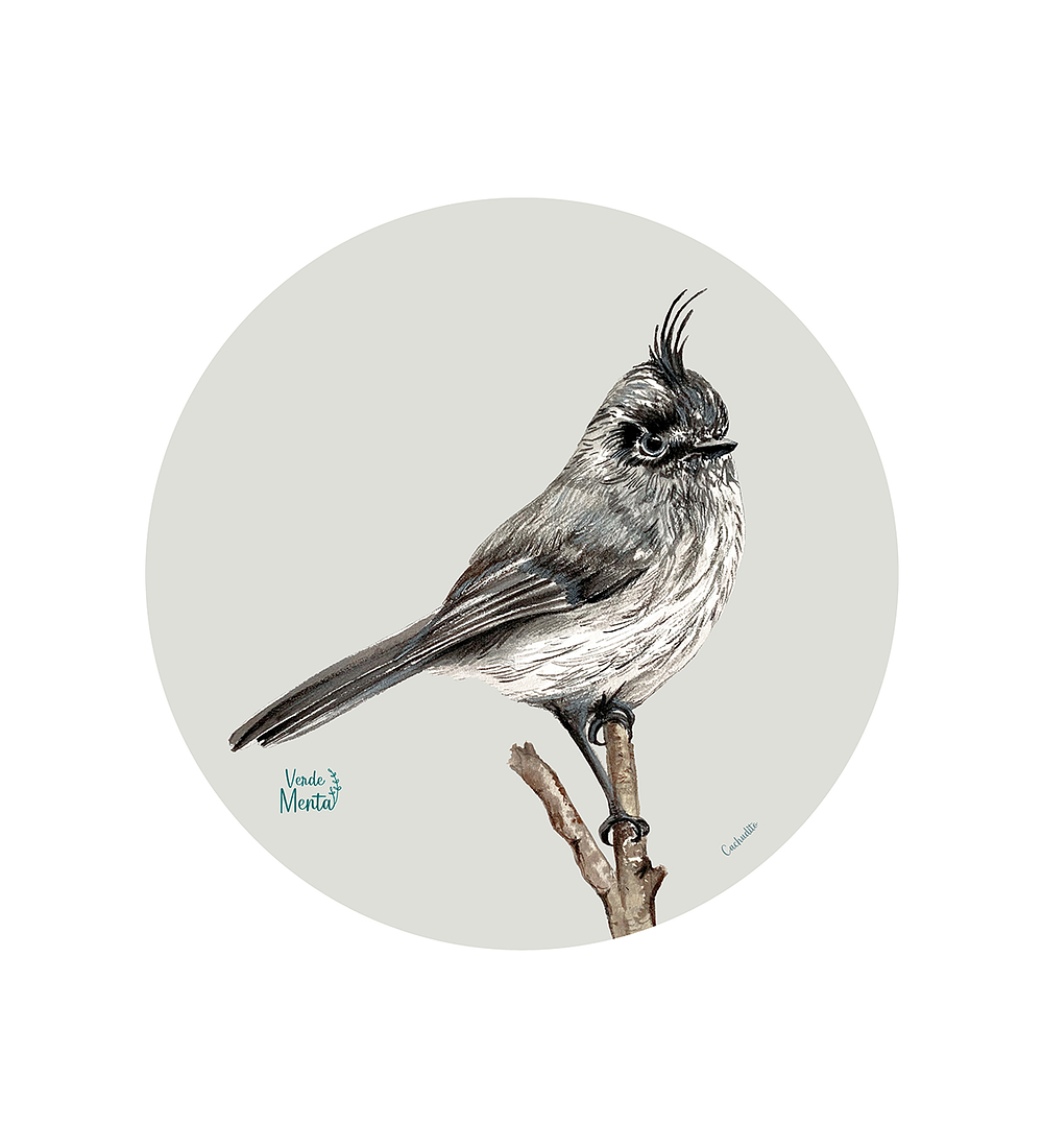 Set 6 Ind Cachudito 37cm