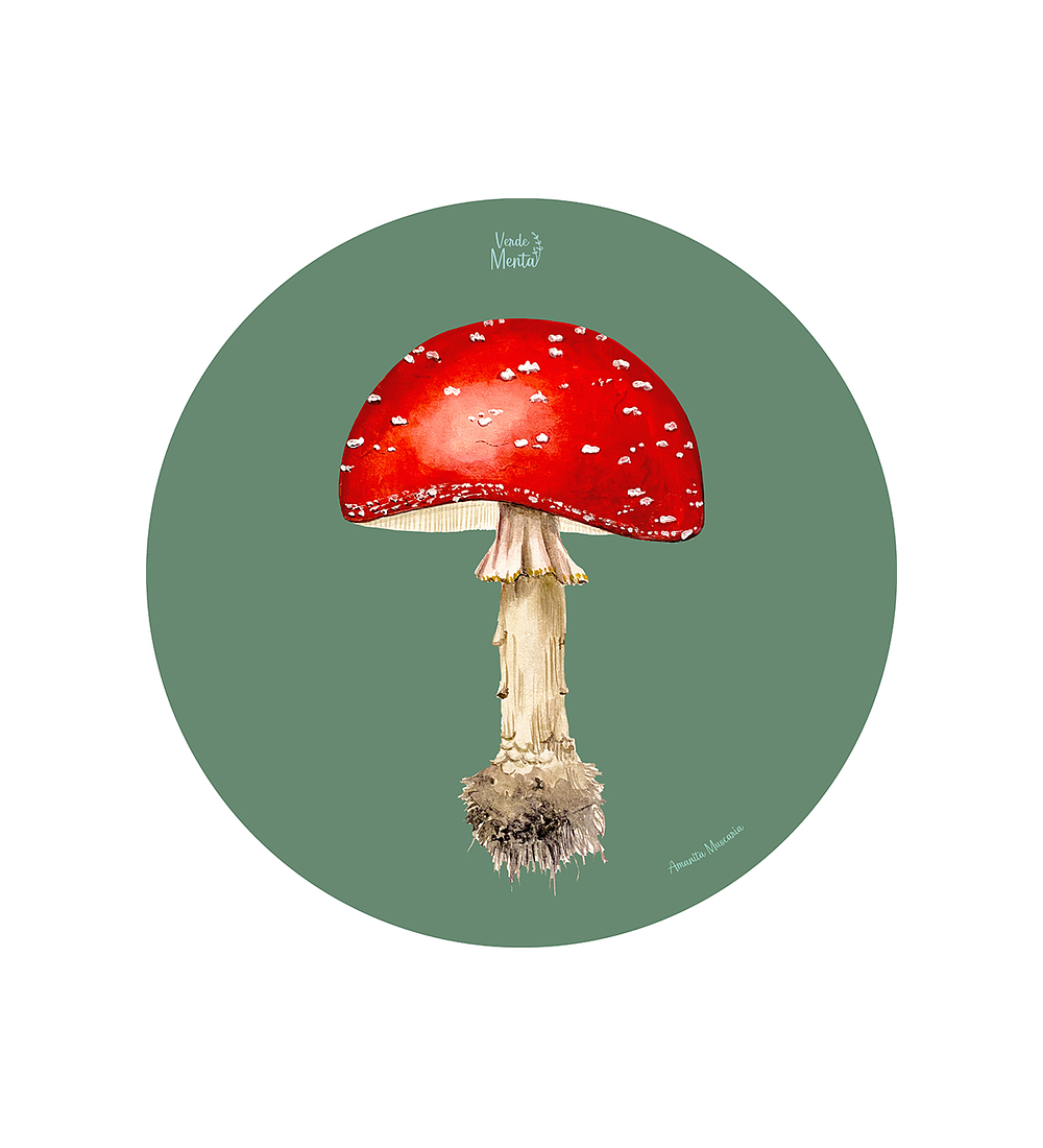 Set 6 Ind Amanita Muscaria 37cm