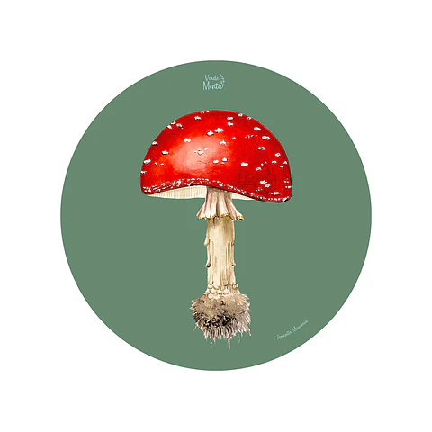 Set 6 Ind Amanita Muscaria 37cm