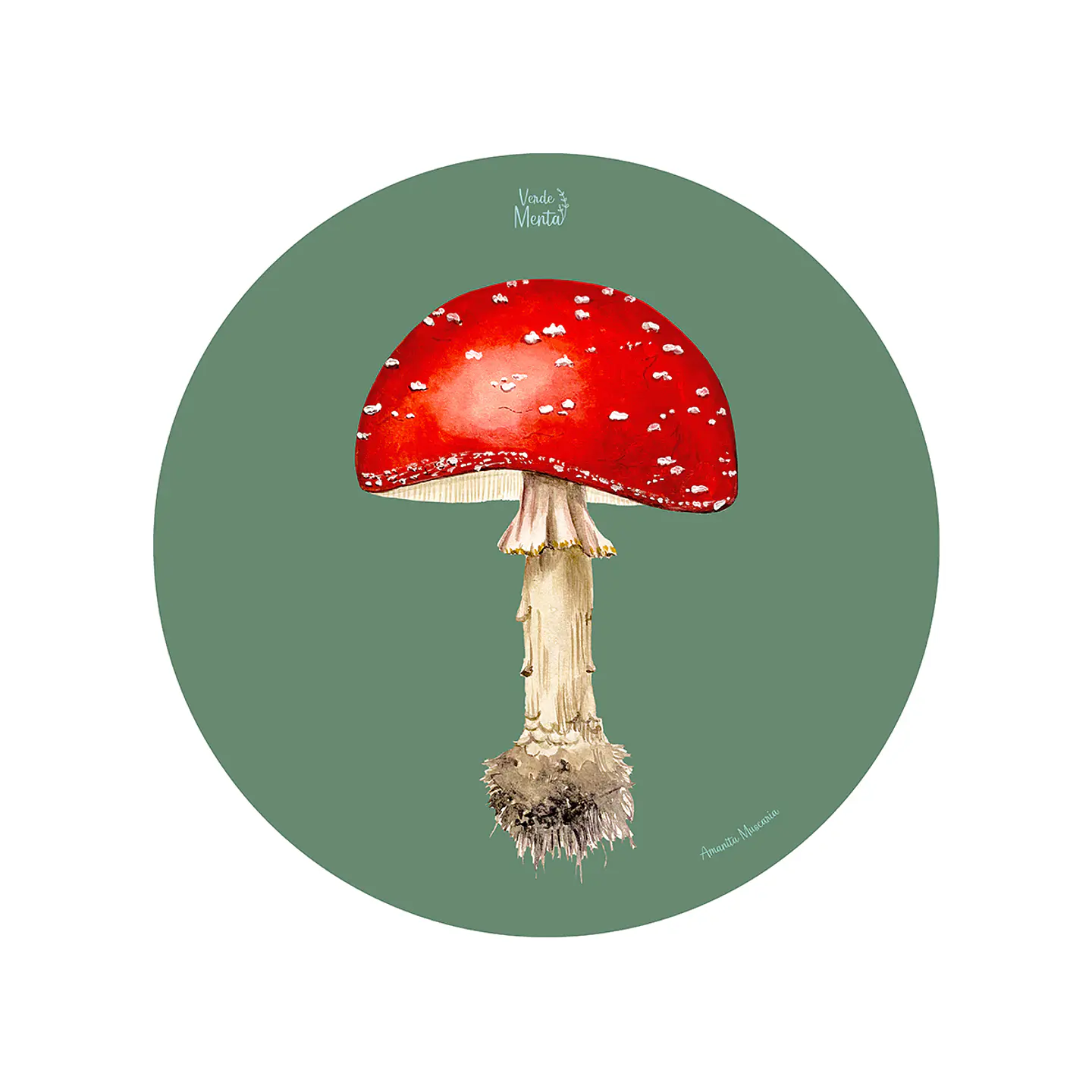 Set 6 Ind Amanita Muscaria 37cm 1