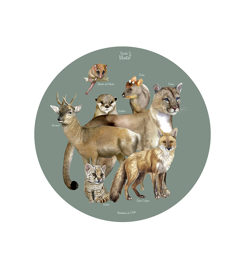 Set 6 Ind Animales Chilenos 37cm