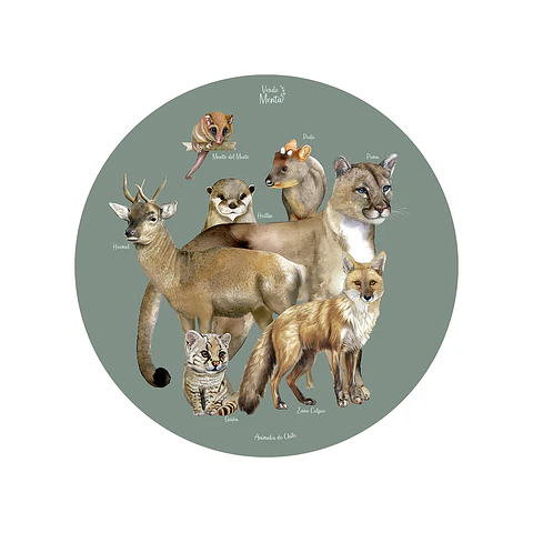 Set 6 Ind Animales Chilenos 37cm