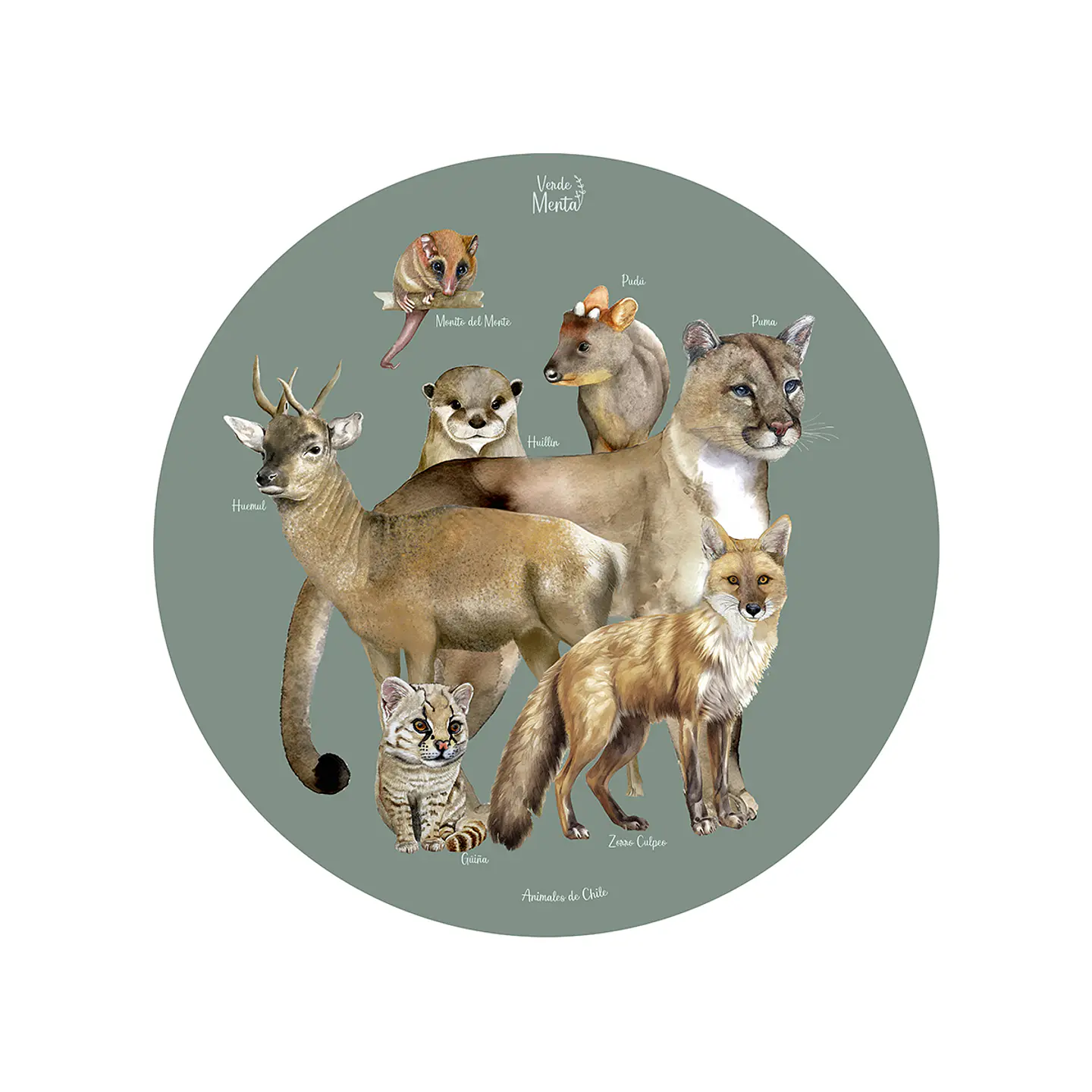 Set 6 Ind Animales Chilenos 37cm 1