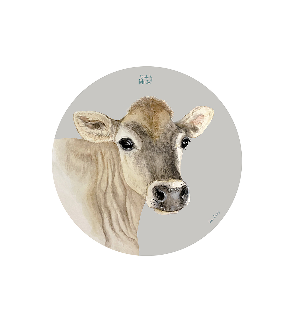 Set 6 Ind Vaca Jersey  37cm