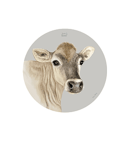 Set 6 Ind Vaca Jersey  37cm