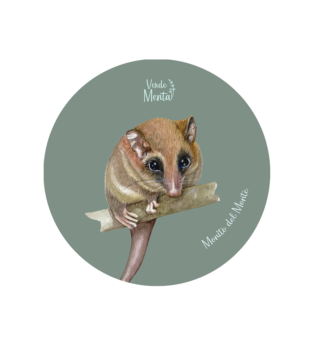 Set 12 Posavasos Redondos Monito del monte