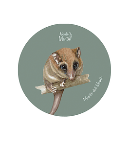 Set 12 Posavasos Redondos Monito del monte