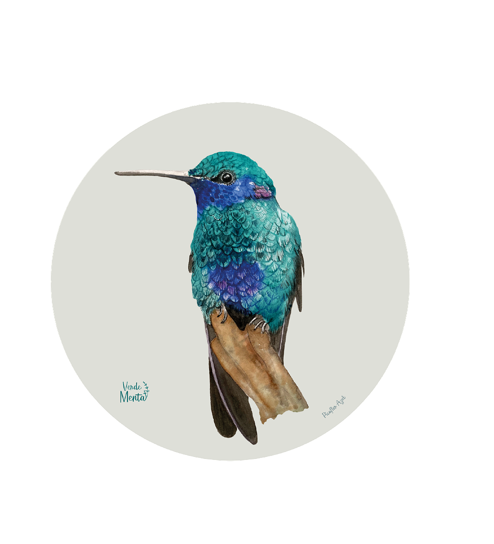 Set 6 Ind Picaflor Azul 37cm